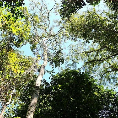 Misahualli Amazon Lodge Tena Esterno foto