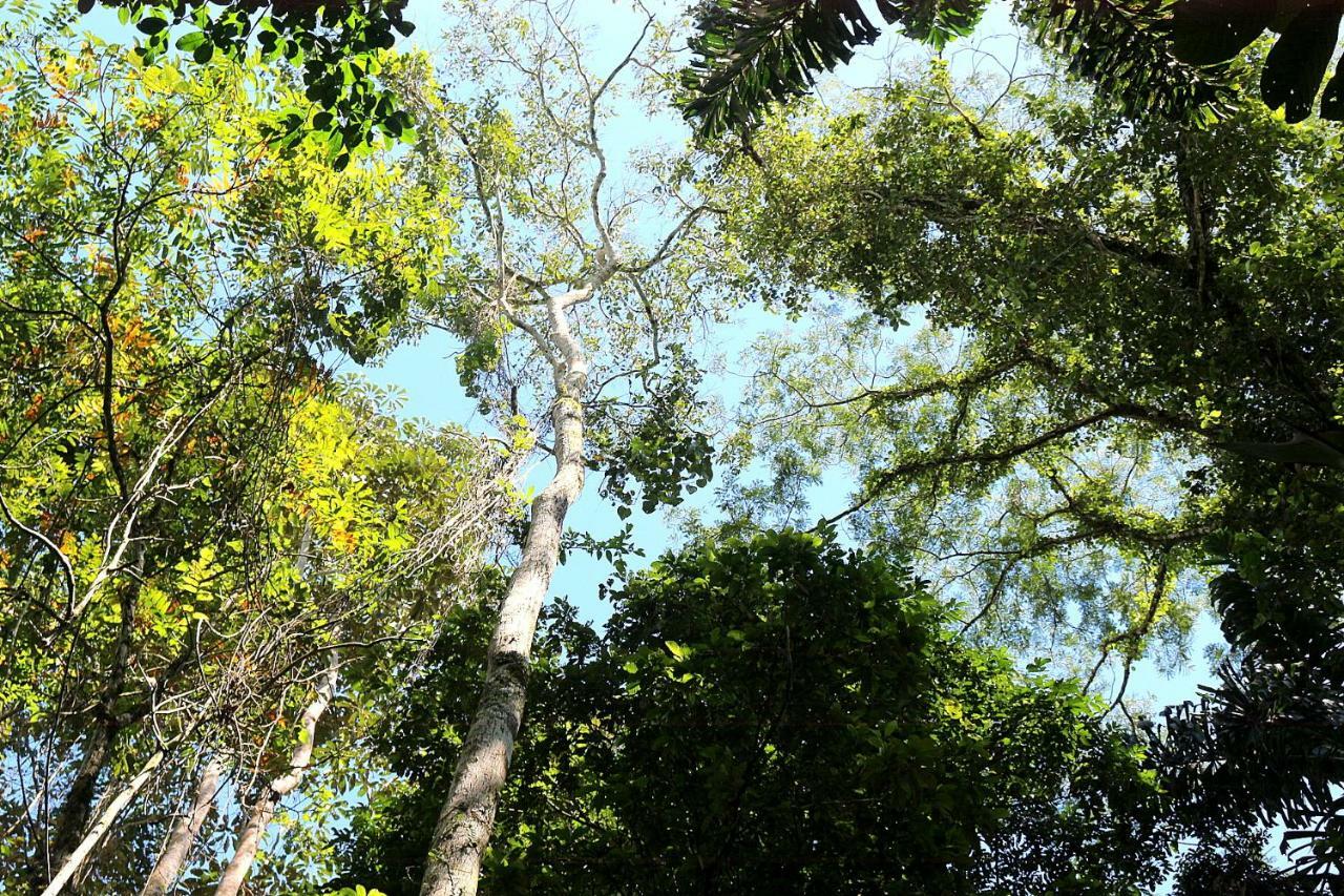 Misahualli Amazon Lodge Tena Esterno foto